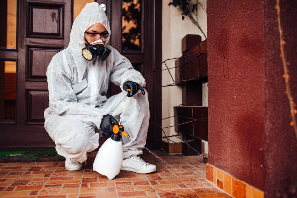 Reliable Ant Control contractor in Missouri City, TX by Show Me Pest Control
